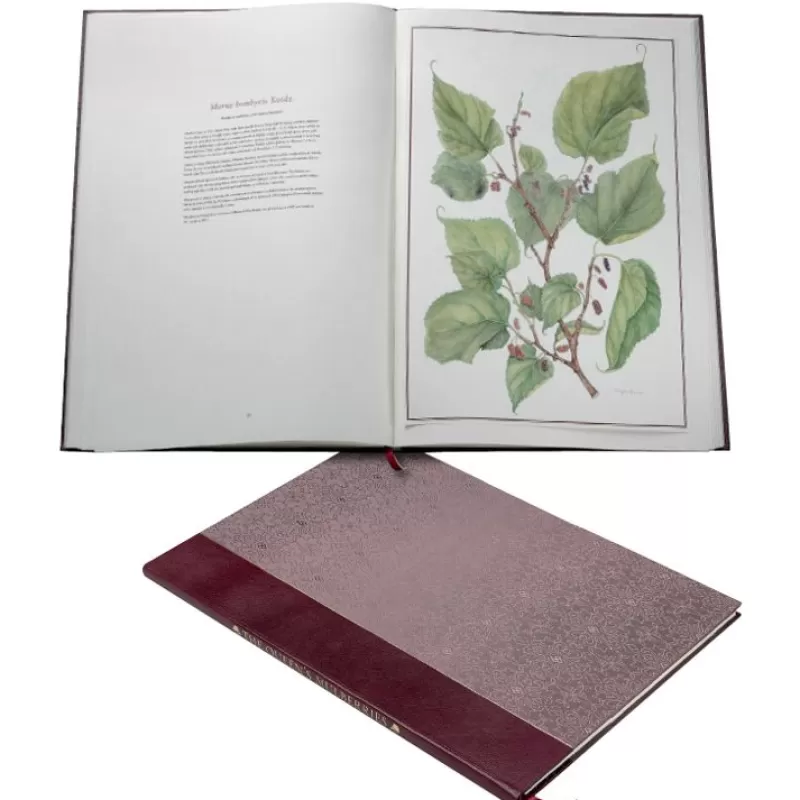 Royal Collection Publications | Royal Collection Shop Limited Edition The Queen'S Mulberries