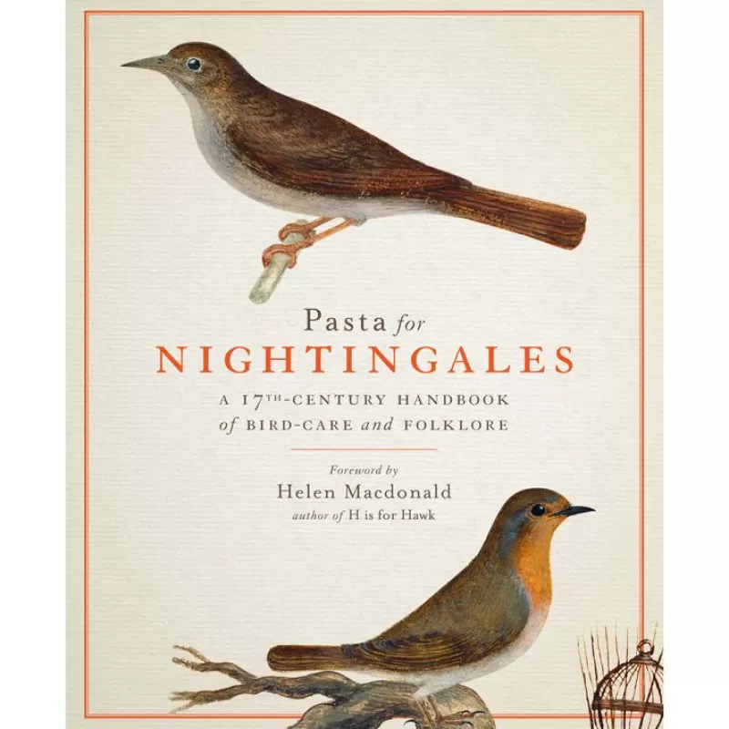 Royal Collection Publications | Royal Collection Shop Pasta For Nightingales: A 17Th-Century Handbook Of Bird-Care And Folklore